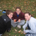 picture 039